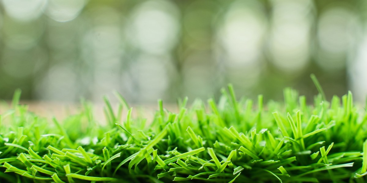 Synthetic Turf Installation Surges as Microplastics Concerns Mount